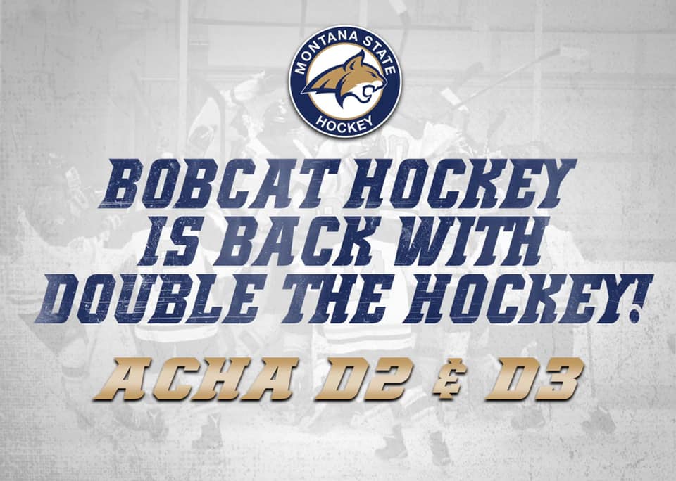 Bobcat Hockey to field D2 and D3 teams