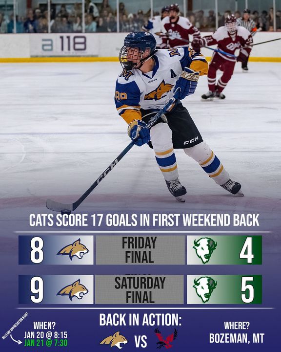 The Cats come back strong from winter break on the road with a clean sweep over Williston