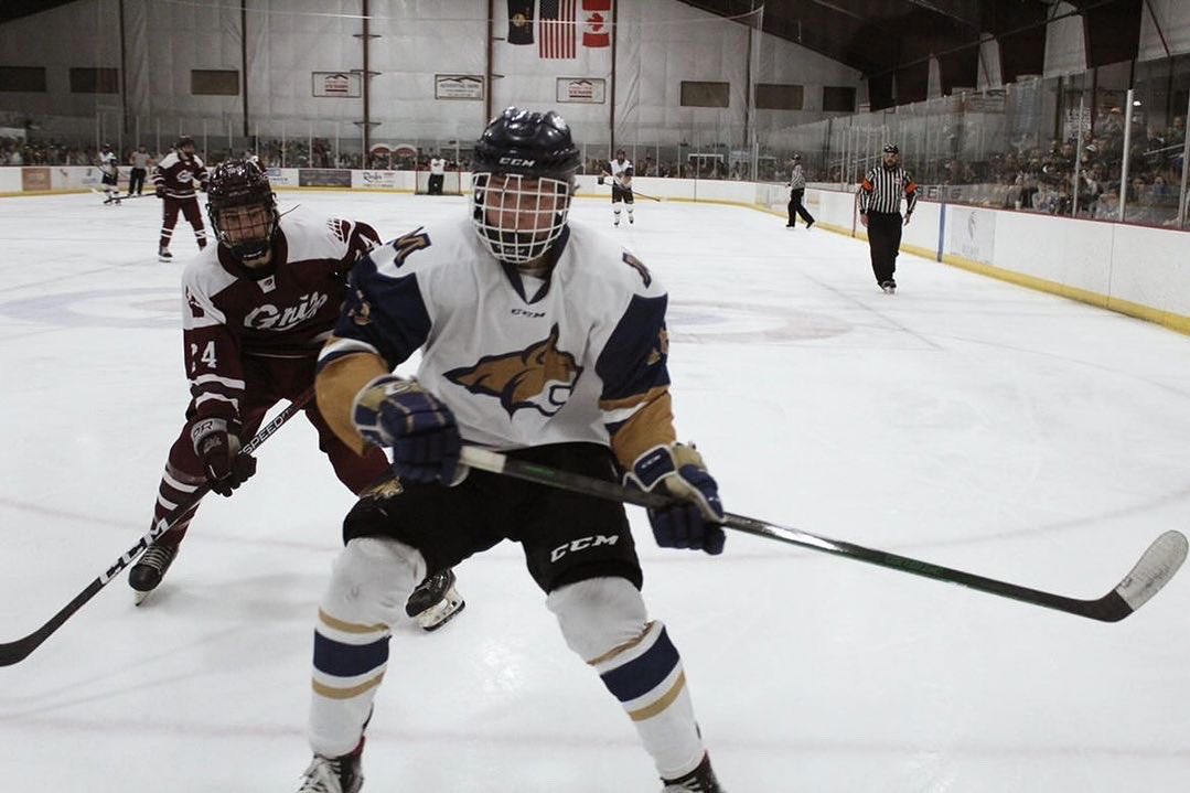 BRAWL OF THE WILD IS THIS SATURDAY!