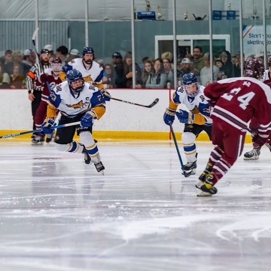 CAT/griz pre-sale tickets are SOLD OUT!