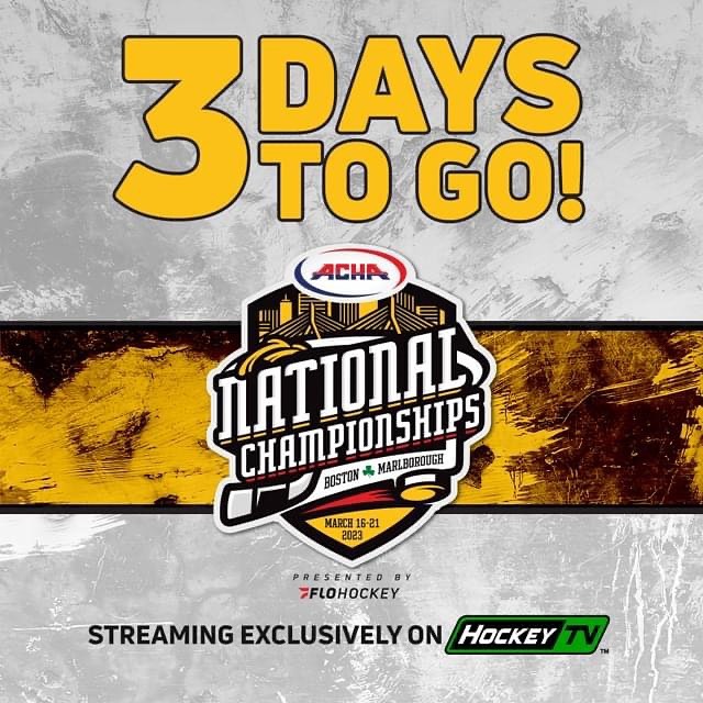 #RollCats #NattysBound