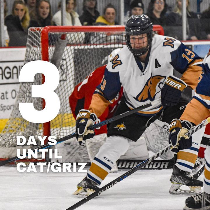 🚨CAT/griz Hockey🚨