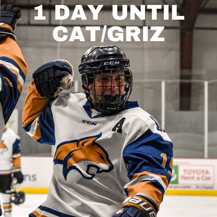 CAT/griz Hockey