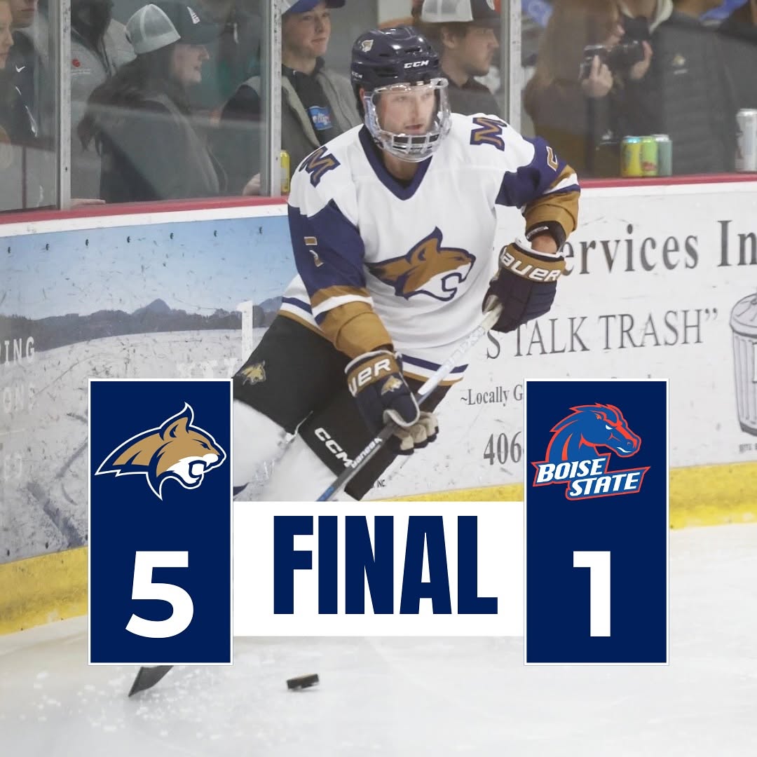 Cats with the weekend sweep