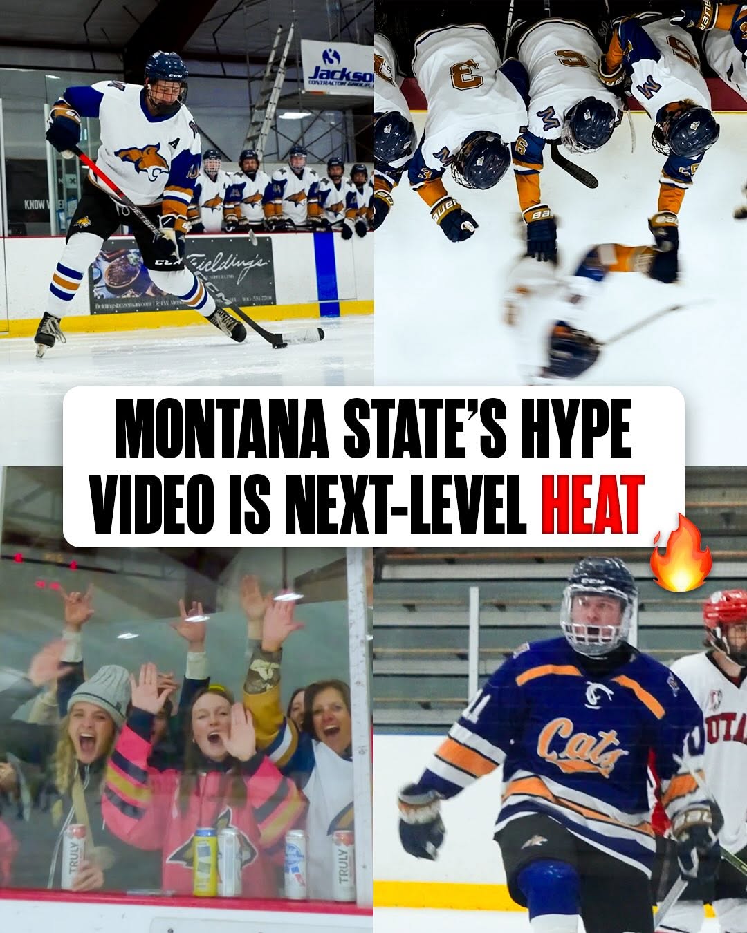 READY TO RUN THROUGH A BRICK WALL FOR THE BOBCATS 😼