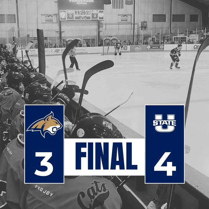 Cats fall to Utah State 4-3