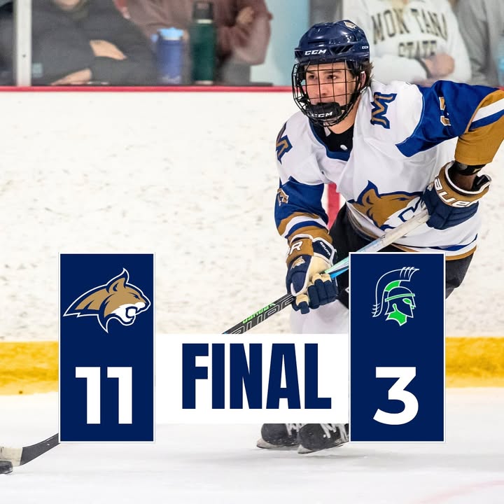 Cats over Providence