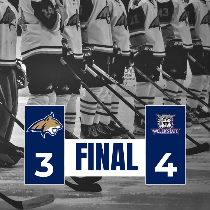 Cats fall 4-3 vs Weber State
