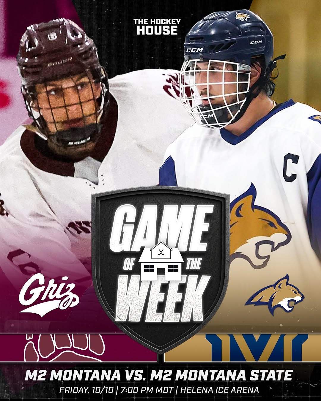 BRAWL OF THE WILD IS HERE 👊