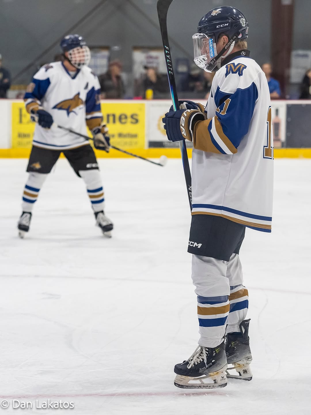 Cats take the show on the road this week!