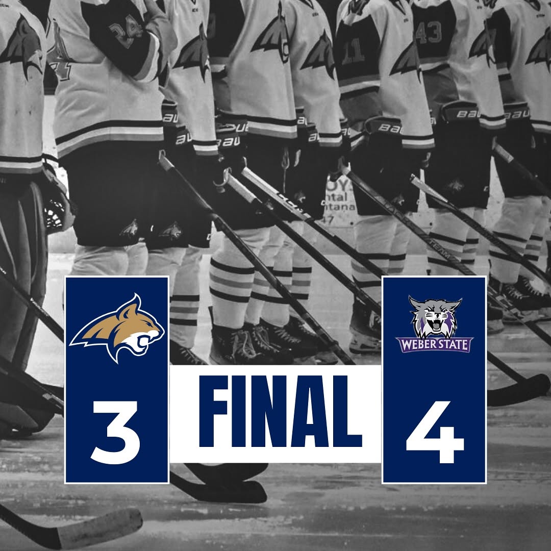 Cats fall 4-3 vs Weber State