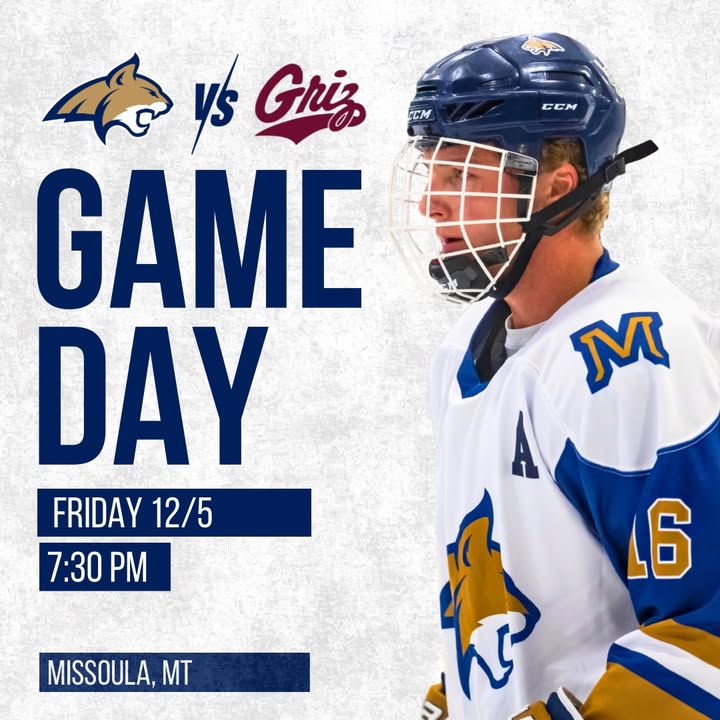 🚨 CAT/GRIZ GAMEDAY 🚨