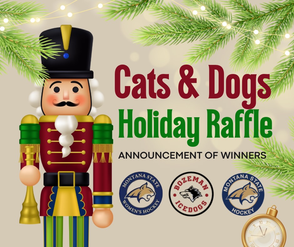 🐾🎄 CATS & DOGS HOLIDAY RAFFLE – WINNERS ANNOUNCED! 🎄🐾