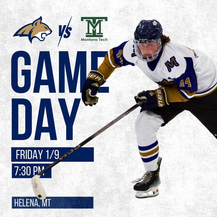 🚨THE BOBCATS ARE BACK!🚨