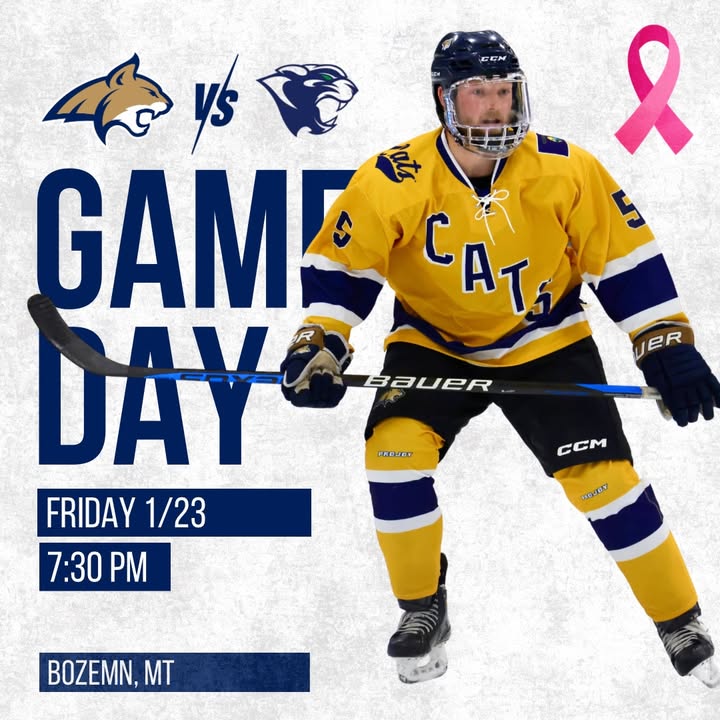 🎀 PINK THE RINK 🎀