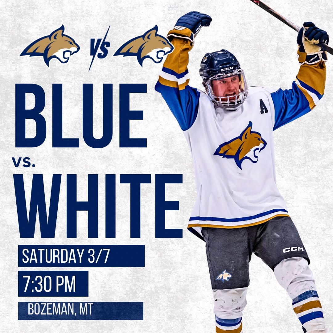 BLUE vs WHITE | SKATE WITH THE BOBCATS