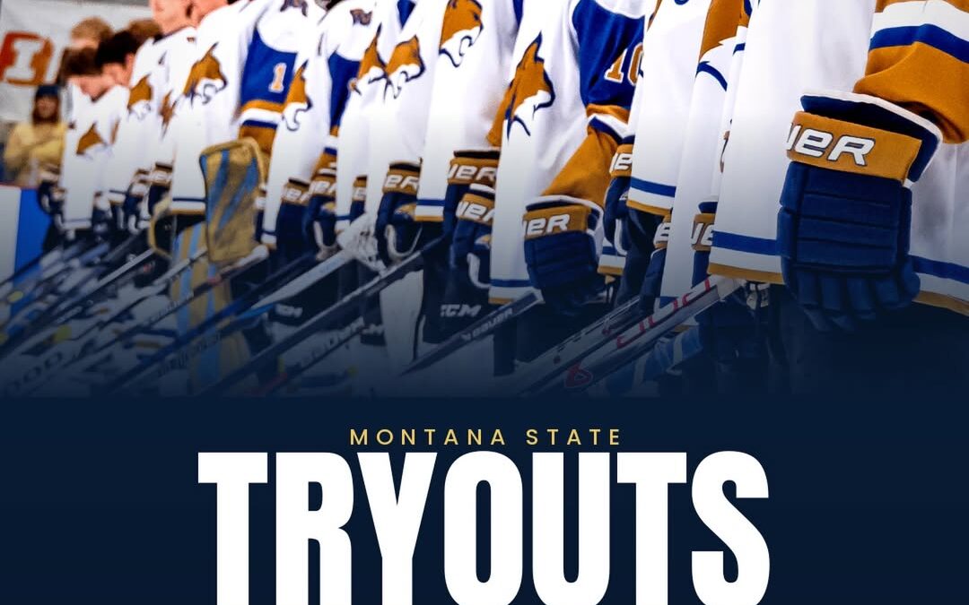Want to play for the Bobcats next season?